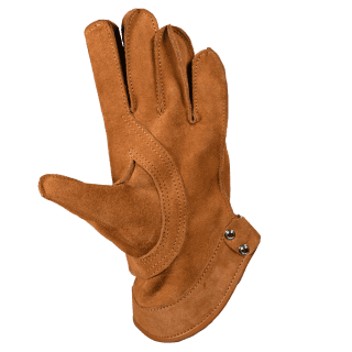 Gloves EBL158